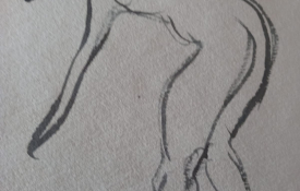 Dibujos2022b